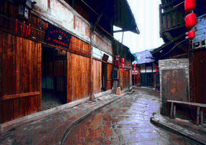 “建行大学·裕农学堂”开展猪病防控技术培训